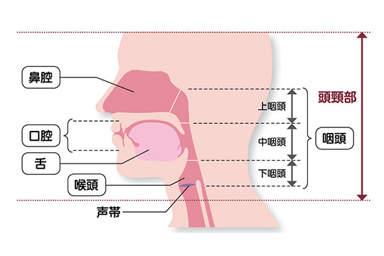腫れ の コロナ 腺 リンパ 喉の腫れの原因は新型コロナ 扁桃腺
